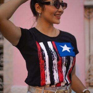 Camiseta Baby Look Bandeira Maranhão